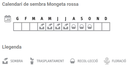 Llavors varietats locals - Mongeta rossa