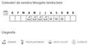 Llavors varietats locals - Mongeta tendra beix