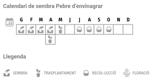 Llavors varietats locals - Pebre d'envinagrar