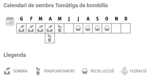 Llavors varietats locals - Tomàtiga de bombilla