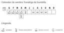 Llavors varietats locals - Tomàtiga de bombilla