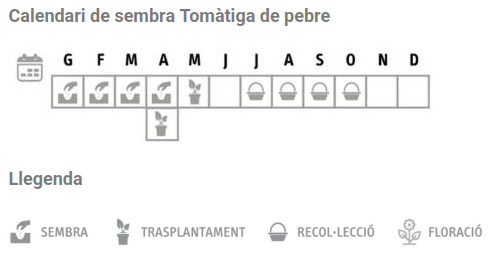 Llavors varietats locals - Tomàtiga de pebre