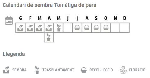 Llavors varietats locals - Tomàtiga de pera