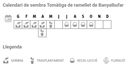 Llavors varietats locals - Tomàtiga de ramellet de Banyalbufar