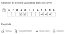 Llavors varietats locals - Carabassó blanc de córrer