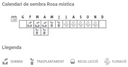 Llavors varietats locals - Rosa mística