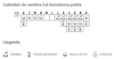 Llavors varietats locals - Col borratxona petita o de 7 setmanes