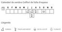 Llavors varietats locals - Colflori de fulla d'espasa