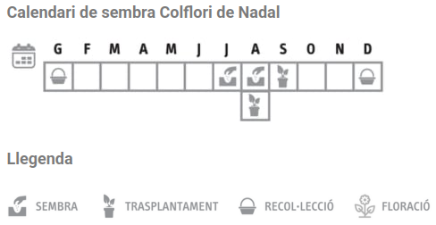 Llavors varietats locals - Colflori de Nadal