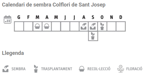 Llavors varietats locals - Colflori de Sant Josep
