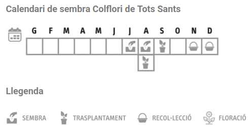 Llavors varietats locals - Colflori de Tots Sants
