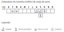 Llavors varietats locals - Colflori d'orella d'ase