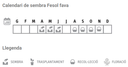 Llavors varietats locals - Fesol fava