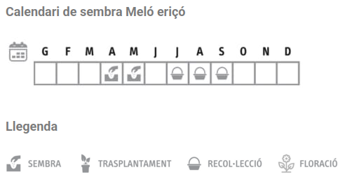 Llavors varietats locals - Meló eriçó