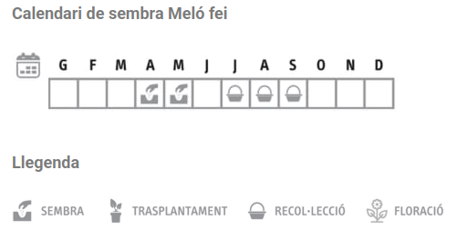 Llavors varietats locals - Meló fei