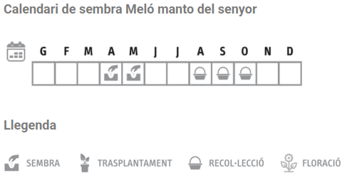 Llavors varietats locals - Meló manto del Senyor