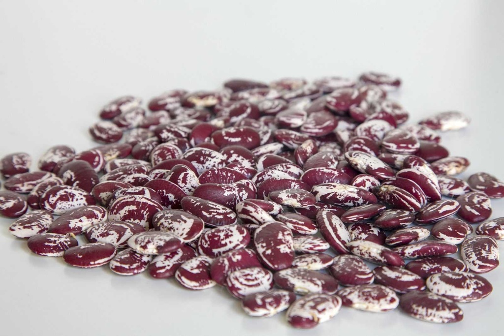 Llavors varietats locals - Fesol fava