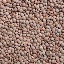Llentia marró granel (kg)