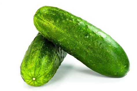 Cogombre ECO