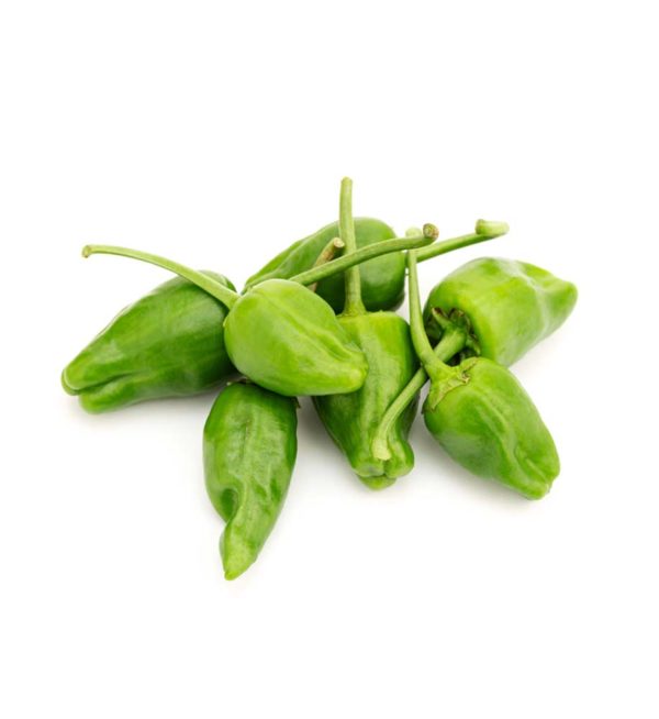 pebres padró