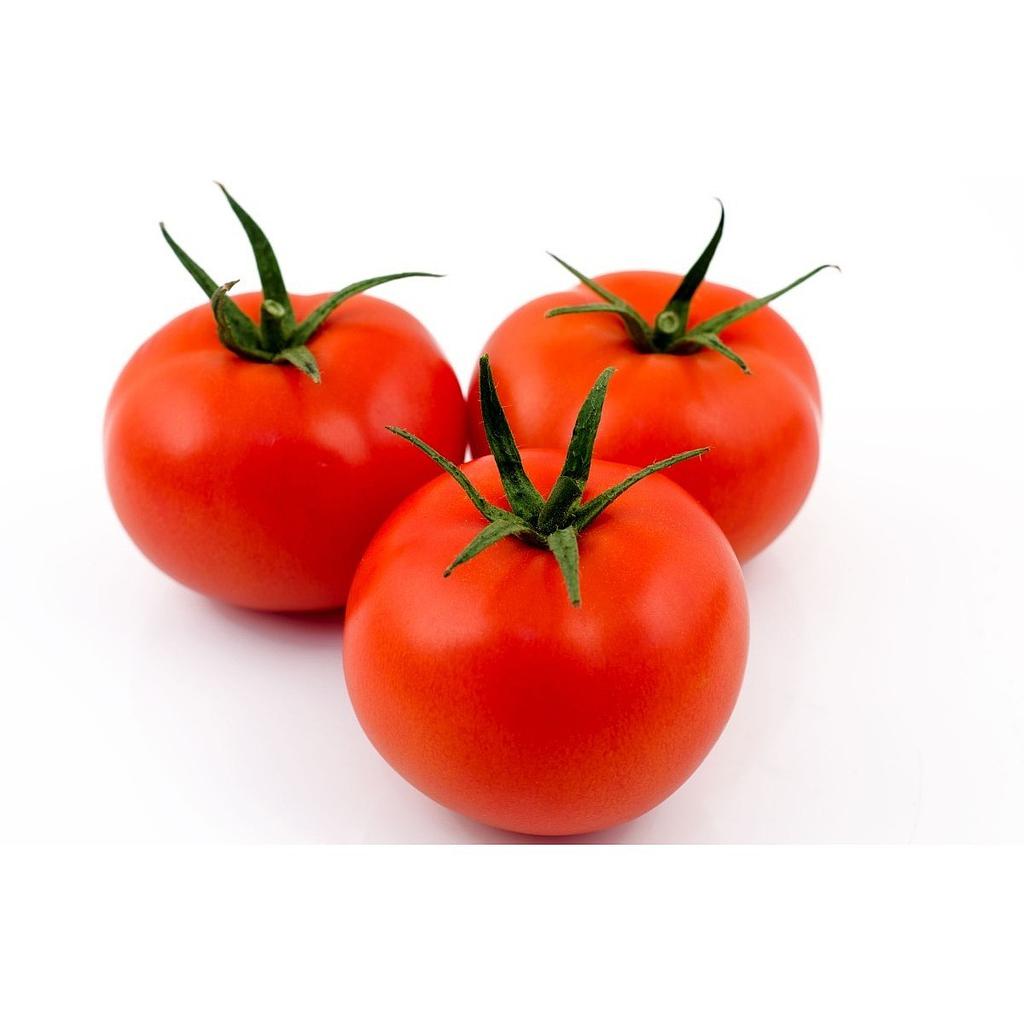 Tomàtiga bolla ECO