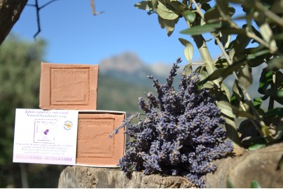 Sabó Oliva espígol, (lavanda)