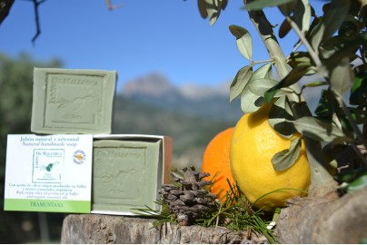Sabó Tramuntana