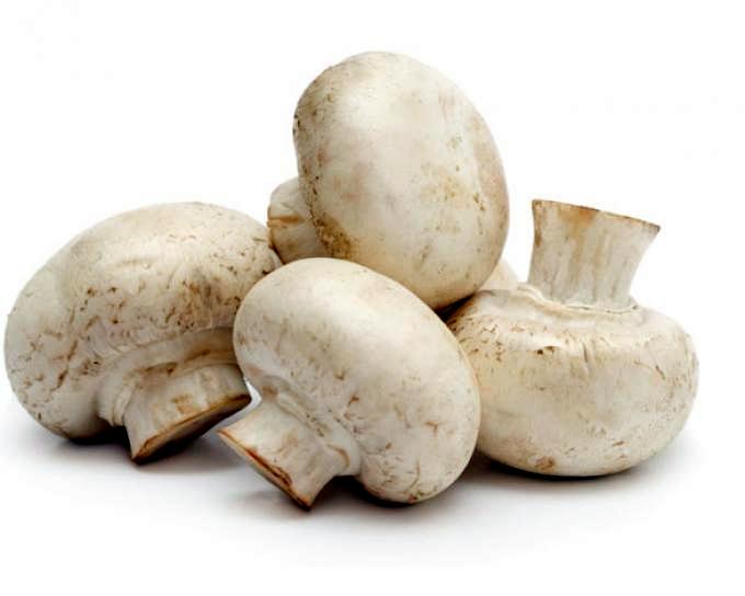 Xampinyons blancs