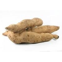 Moniato blanc ECO kg